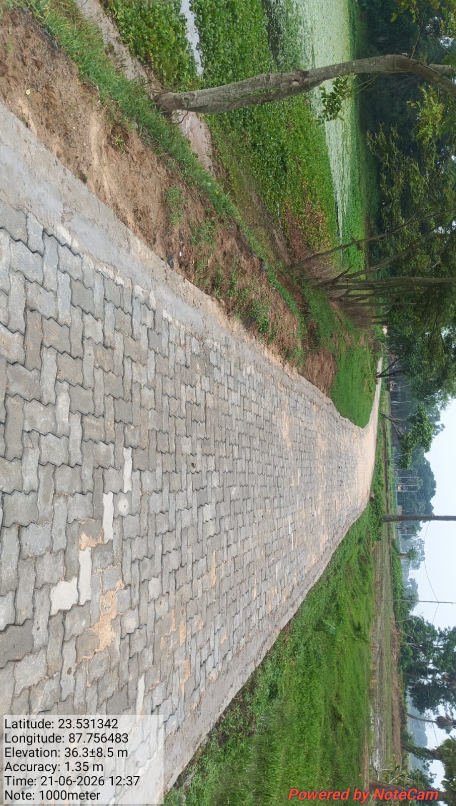 Image 21